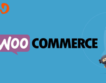 Web Design Dunedin, Otago Web Development Dunedin, Otago Graphics Design