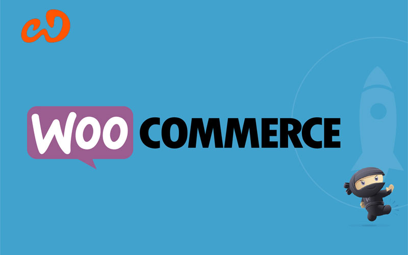 Web Design Dunedin, Otago Web Development Dunedin, Otago Graphics Design