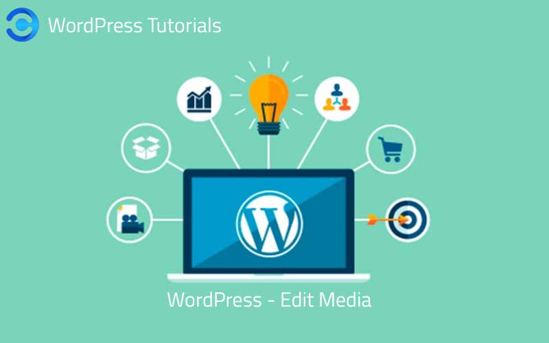 Web Design Dunedin, Otago Web Development Dunedin, Otago Graphics Design